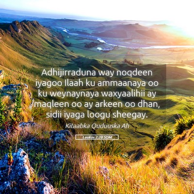 Picture 05 - Luukos 2:20 SOM - Adhijirraduna way noqdeen iyagoo Ilaah ku - Bible Verse Picture