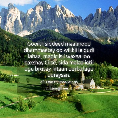 Picture 05 - Luukos 2:21 SOM - Goortii siddeed maalmood dhammaatay oo wiilkii la - Bible Verse Picture