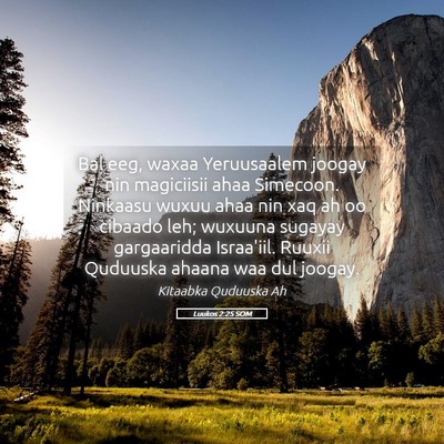 Picture 05 - Luukos 2:25 SOM - Bal eeg, waxaa Yeruusaalem joogay nin magiciisii - Bible Verse Picture
