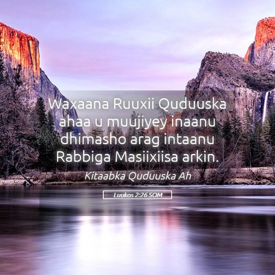 Picture 05 - Luukos 2:26 SOM - Waxaana Ruuxii Quduuska ahaa u muujiyey inaanu - Bible Verse Picture