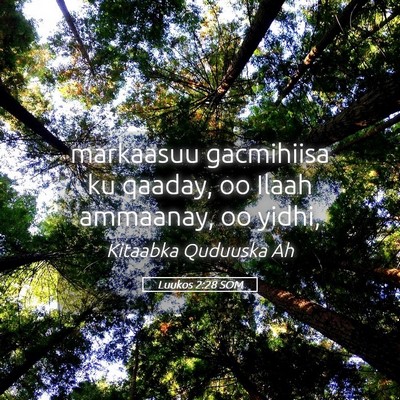 Picture 05 - Luukos 2:28 SOM - markaasuu gacmihiisa ku qaaday, oo Ilaah - Bible Verse Picture