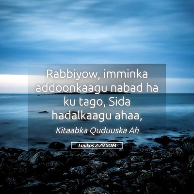 Picture 05 - Luukos 2:29 SOM - Rabbiyow, imminka addoonkaagu nabad ha ku tago, - Bible Verse Picture