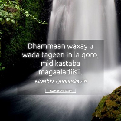 Picture 05 - Luukos 2:3 SOM - Dhammaan waxay u wada tageen in la qoro, mid - Bible Verse Picture