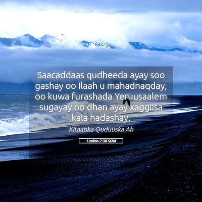 Picture 05 - Luukos 2:38 SOM - Saacaddaas qudheeda ayay soo gashay oo Ilaah u - Bible Verse Picture
