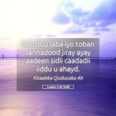 Picture 05 - Luukos 2:42 SOM - Goortuu laba iyo toban sannadood jiray ayay - Bible Verse Picture