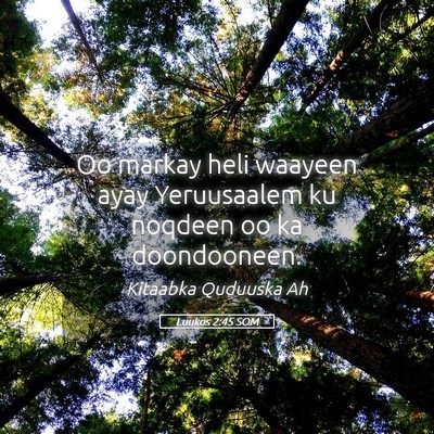 Picture 05 - Luukos 2:45 SOM - Oo markay heli waayeen ayay Yeruusaalem ku - Bible Verse Picture