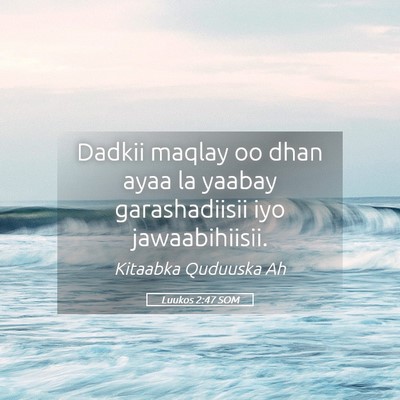Picture 05 - Luukos 2:47 SOM - Dadkii maqlay oo dhan ayaa la yaabay - Bible Verse Picture