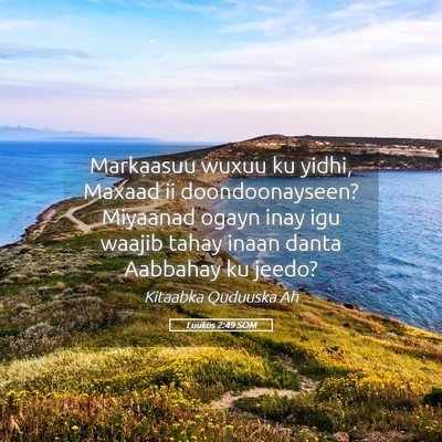 Picture 05 - Luukos 2:49 SOM - Markaasuu wuxuu ku yidhi, Maxaad ii - Bible Verse Picture