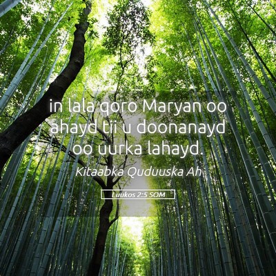 Picture 05 - Luukos 2:5 SOM - in lala qoro Maryan oo ahayd tii u doonanayd oo - Bible Verse Picture