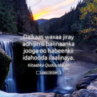 Picture 05 - Luukos 2:8 SOM - Dalkaas waxaa jiray adhijirro bannaanka jooga oo - Bible Verse Picture