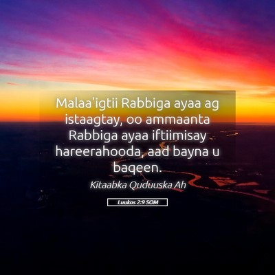 Picture 05 - Luukos 2:9 SOM - Malaa'igtii Rabbiga ayaa ag istaagtay, oo - Bible Verse Picture