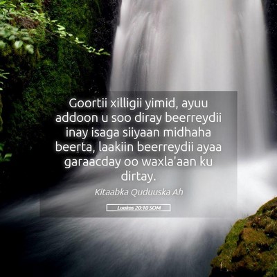 Picture 05 - Luukos 20:10 SOM - Goortii xilligii yimid, ayuu addoon u soo diray - Bible Verse Picture