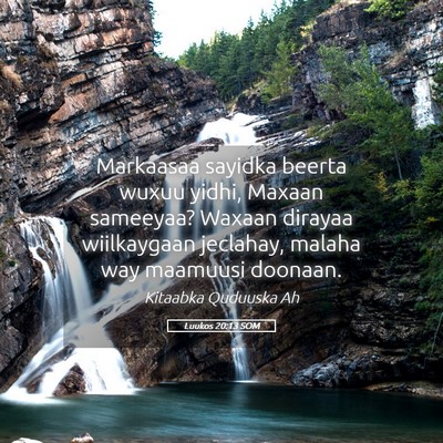 Picture 05 - Luukos 20:13 SOM - Markaasaa sayidka beerta wuxuu yidhi, Maxaan - Bible Verse Picture
