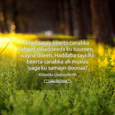 Picture 05 - Luukos 20:15 SOM - Markaasay beertii canabka ahayd dibaddeeda ku - Bible Verse Picture