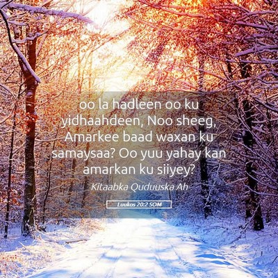 Picture 05 - Luukos 20:2 SOM - oo la hadleen oo ku yidhaahdeen, Noo sheeg, - Bible Verse Picture