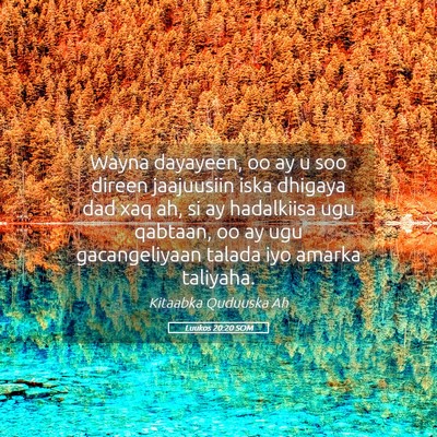Picture 05 - Luukos 20:20 SOM - Wayna dayayeen, oo ay u soo direen jaajuusiin - Bible Verse Picture