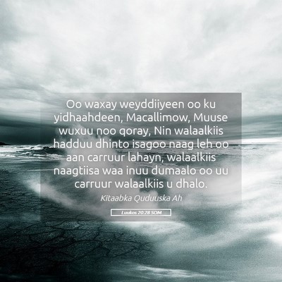 Picture 05 - Luukos 20:28 SOM - Oo waxay weyddiiyeen oo ku yidhaahdeen, - Bible Verse Picture