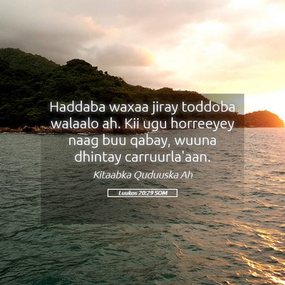Picture 05 - Luukos 20:29 SOM - Haddaba waxaa jiray toddoba walaalo ah. Kii ugu - Bible Verse Picture