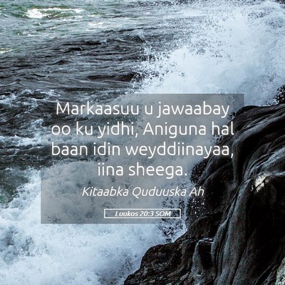 Picture 05 - Luukos 20:3 SOM - Markaasuu u jawaabay oo ku yidhi, Aniguna hal - Bible Verse Picture