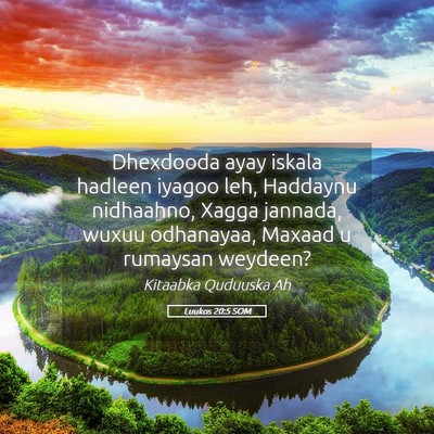 Picture 05 - Luukos 20:5 SOM - Dhexdooda ayay iskala hadleen iyagoo leh, - Bible Verse Picture