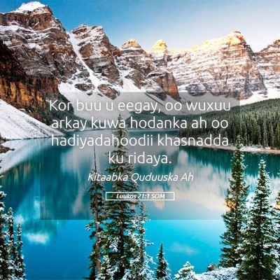 Picture 05 - Luukos 21:1 SOM - Kor buu u eegay, oo wuxuu arkay kuwa hodanka ah - Bible Verse Picture