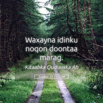 Picture 05 - Luukos 21:13 SOM - Waxayna idinku noqon doontaa - Bible Verse Picture