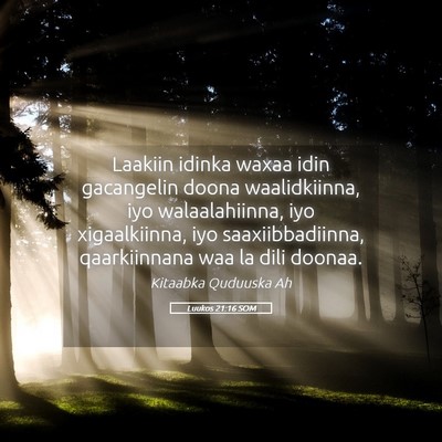 Picture 05 - Luukos 21:16 SOM - Laakiin idinka waxaa idin gacangelin doona - Bible Verse Picture