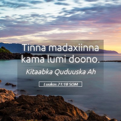 Picture 05 - Luukos 21:18 SOM - Tinna madaxiinna kama lumi - Bible Verse Picture