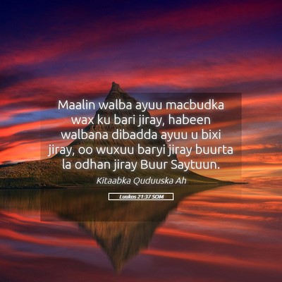 Picture 05 - Luukos 21:37 SOM - Maalin walba ayuu macbudka wax ku bari jiray, - Bible Verse Picture