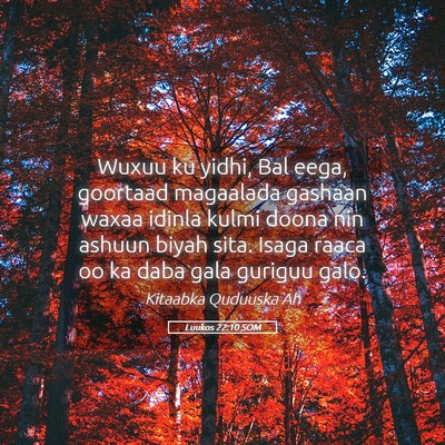 Picture 05 - Luukos 22:10 SOM - Wuxuu ku yidhi, Bal eega, goortaad magaalada - Bible Verse Picture