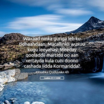 Picture 05 - Luukos 22:11 SOM - Waxaad ninka guriga leh ku tidhaahdaan, - Bible Verse Picture