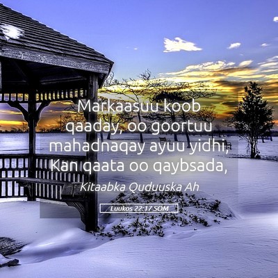 Picture 05 - Luukos 22:17 SOM - Markaasuu koob qaaday, oo goortuu mahadnaqay ayuu - Bible Verse Picture