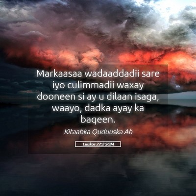 Picture 05 - Luukos 22:2 SOM - Markaasaa wadaaddadii sare iyo culimmadii waxay - Bible Verse Picture