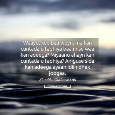 Picture 05 - Luukos 22:27 SOM - Waayo, kee baa weyn, ma kan cuntada u fadhiya baa - Bible Verse Picture