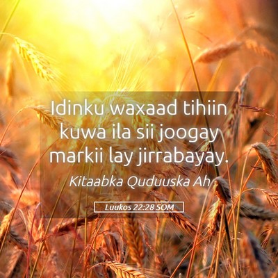 Picture 05 - Luukos 22:28 SOM - Idinku waxaad tihiin kuwa ila sii joogay markii - Bible Verse Picture