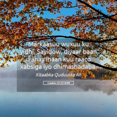 Picture 05 - Luukos 22:33 SOM - Markaasuu wuxuu ku yidhi, Sayidow, diyaar baan u - Bible Verse Picture