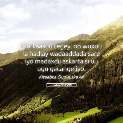 Picture 05 - Luukos 22:4 SOM - Markaasuu tegey, oo wuxuu la hadlay wadaaddada - Bible Verse Picture