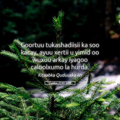 Picture 05 - Luukos 22:45 SOM - Goortuu tukashadiisii ka soo kacay, ayuu xertii u - Bible Verse Picture