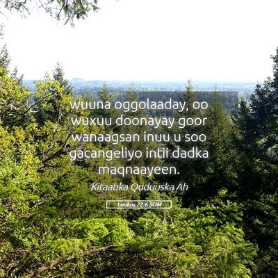 Picture 05 - Luukos 22:6 SOM - wuuna oggolaaday, oo wuxuu doonayay goor - Bible Verse Picture