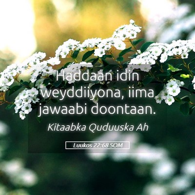 Picture 05 - Luukos 22:68 SOM - Haddaan idin weyddiiyona, iima jawaabi - Bible Verse Picture