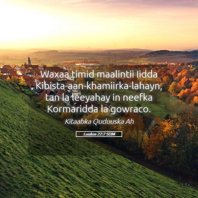 Picture 05 - Luukos 22:7 SOM - Waxaa timid maalintii Iidda - Bible Verse Picture