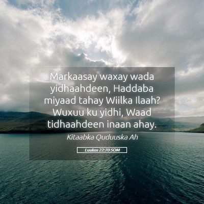 Picture 05 - Luukos 22:70 SOM - Markaasay waxay wada yidhaahdeen, Haddaba miyaad - Bible Verse Picture
