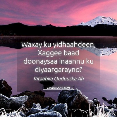 Picture 05 - Luukos 22:9 SOM - Waxay ku yidhaahdeen, Xaggee baad doonaysaa - Bible Verse Picture
