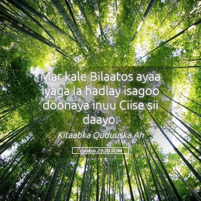 Picture 05 - Luukos 23:20 SOM - Mar kale Bilaatos ayaa iyaga la hadlay isagoo - Bible Verse Picture