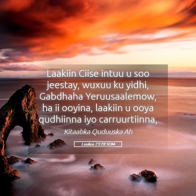 Picture 05 - Luukos 23:28 SOM - Laakiin Ciise intuu u soo jeestay, wuxuu ku - Bible Verse Picture