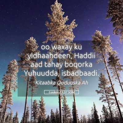 Picture 05 - Luukos 23:37 SOM - oo waxay ku yidhaahdeen, Haddii aad tahay boqorka - Bible Verse Picture