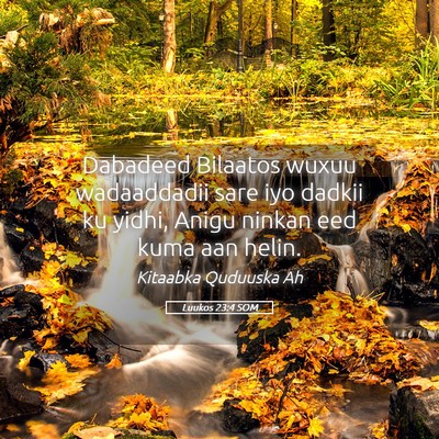 Picture 05 - Luukos 23:4 SOM - Dabadeed Bilaatos wuxuu wadaaddadii sare iyo - Bible Verse Picture