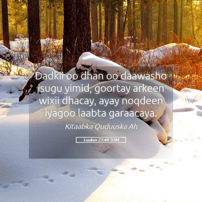 Picture 05 - Luukos 23:48 SOM - Dadkii oo dhan oo daawasho isugu yimid, goortay - Bible Verse Picture