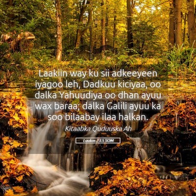 Picture 05 - Luukos 23:5 SOM - Laakiin way ku sii adkeeyeen iyagoo leh, Dadkuu - Bible Verse Picture