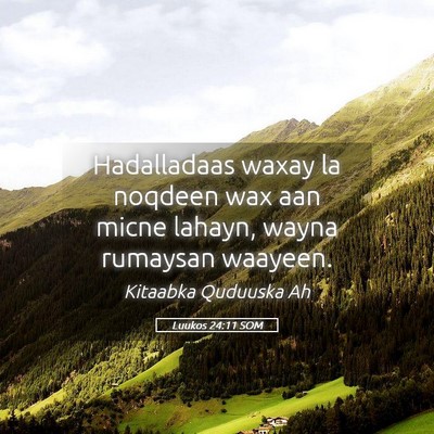 Picture 05 - Luukos 24:11 SOM - Hadalladaas waxay la noqdeen wax aan micne - Bible Verse Picture